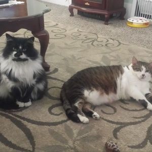 Meet your Posher, Joan